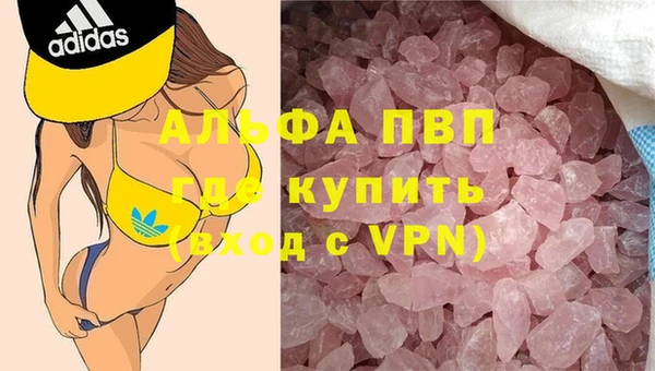 PSILOCYBIN Каменск-Шахтинский
