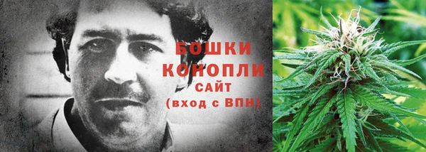PSILOCYBIN Каменск-Шахтинский